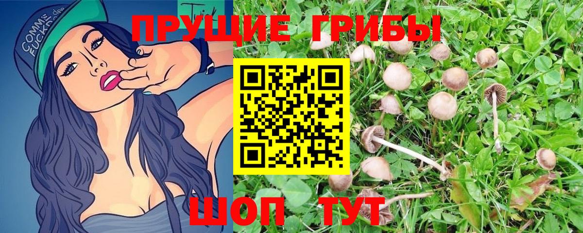 Симферополь  Галлюциногенные грибы GOLDEN TEACHER  Псилоцибиновые грибы MAGIC MUSHROOMS  Вход с VPN 